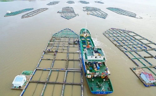 温岭市水产技术推广站荣获首批全国星级基层推广机构称号